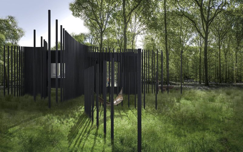 Bdb Cabininthewoods Summer